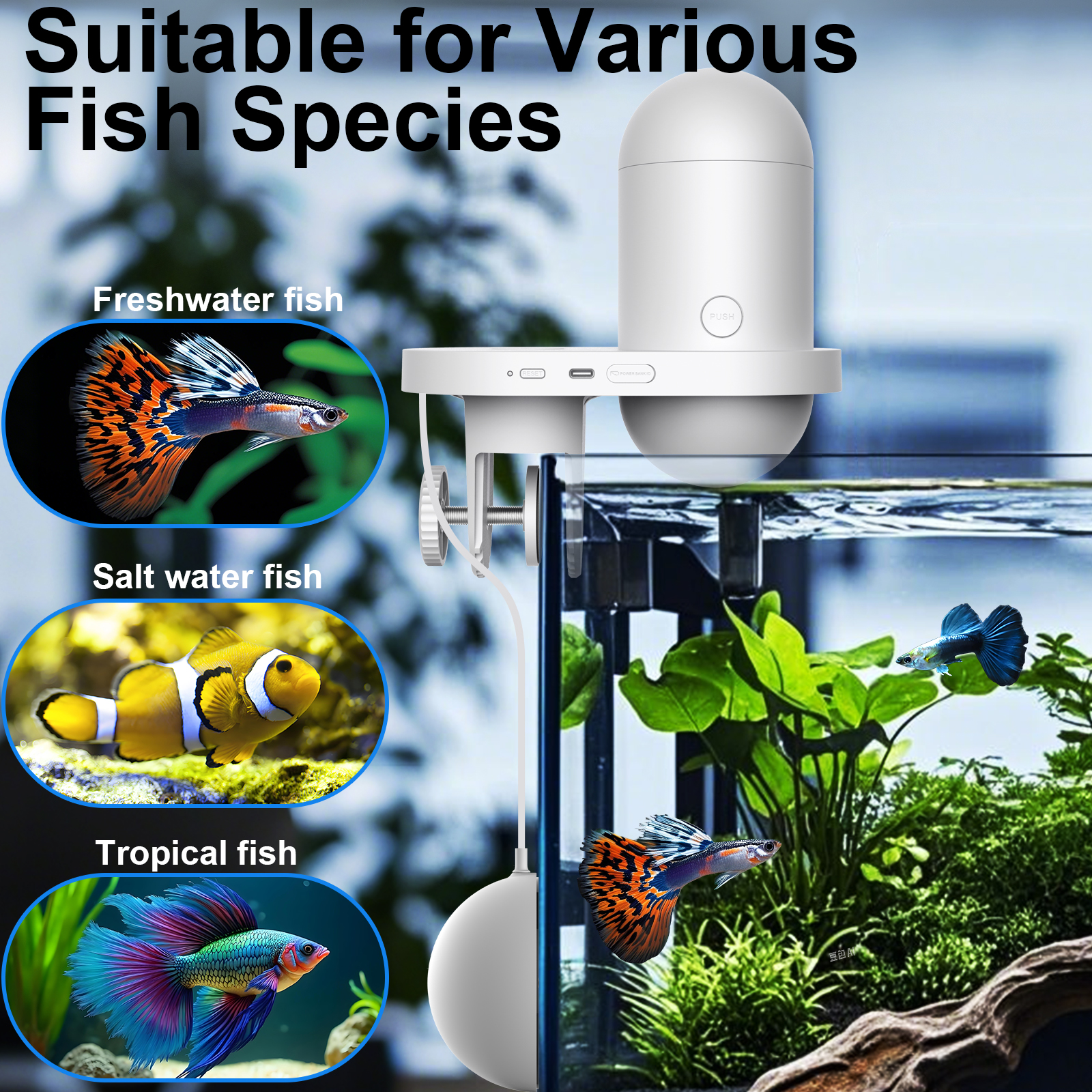 Automatic Fish Feeder With Cam – обзор и цена Fishing Line Dispenser